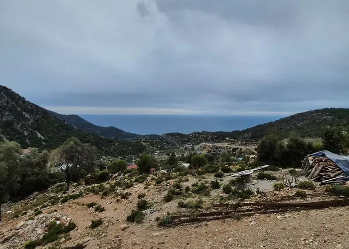 Likya Noa - A Leisure In The Heart Of Nature